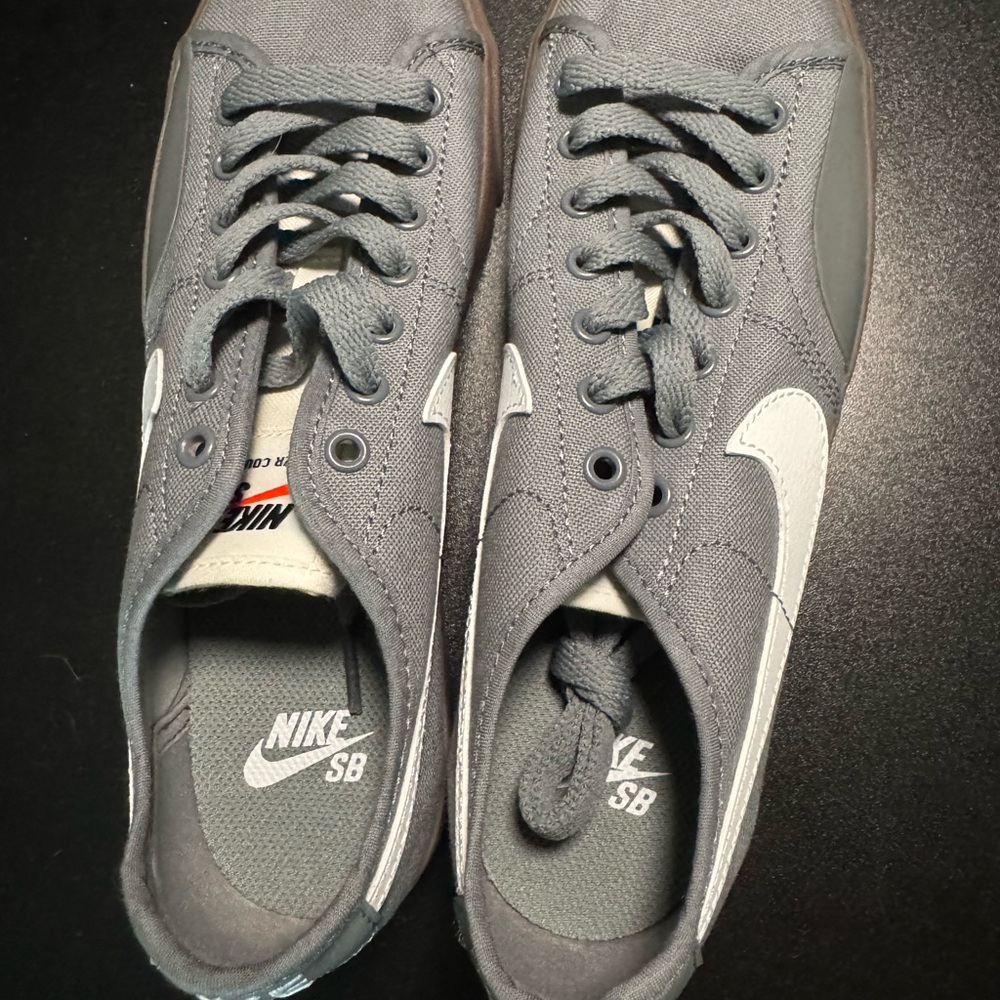 Nike SB Gray and White Boys/Men's/Women’s Sneakers